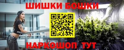 индика Моздок
