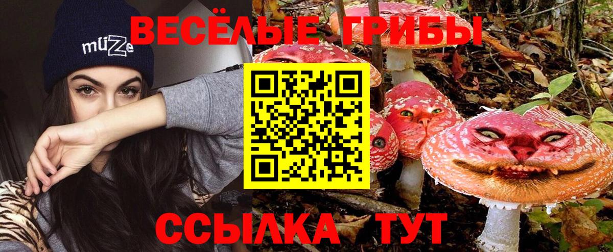 Таганрог  Псилоцибиновые грибы Cubensis  Вход с VPN 